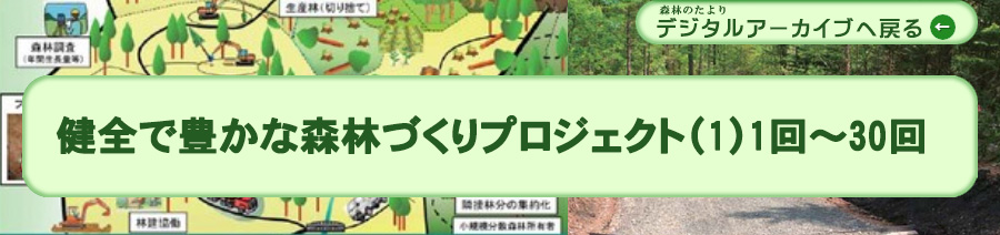 健全で豊かな森林づくりプロジェクト
