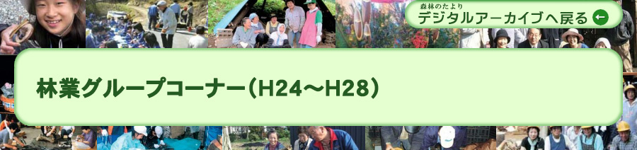 林業グループコーナー (H24～H28)