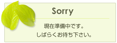現在準備中です。しばらくお待ち下さい。